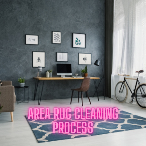 area rug cleaning process