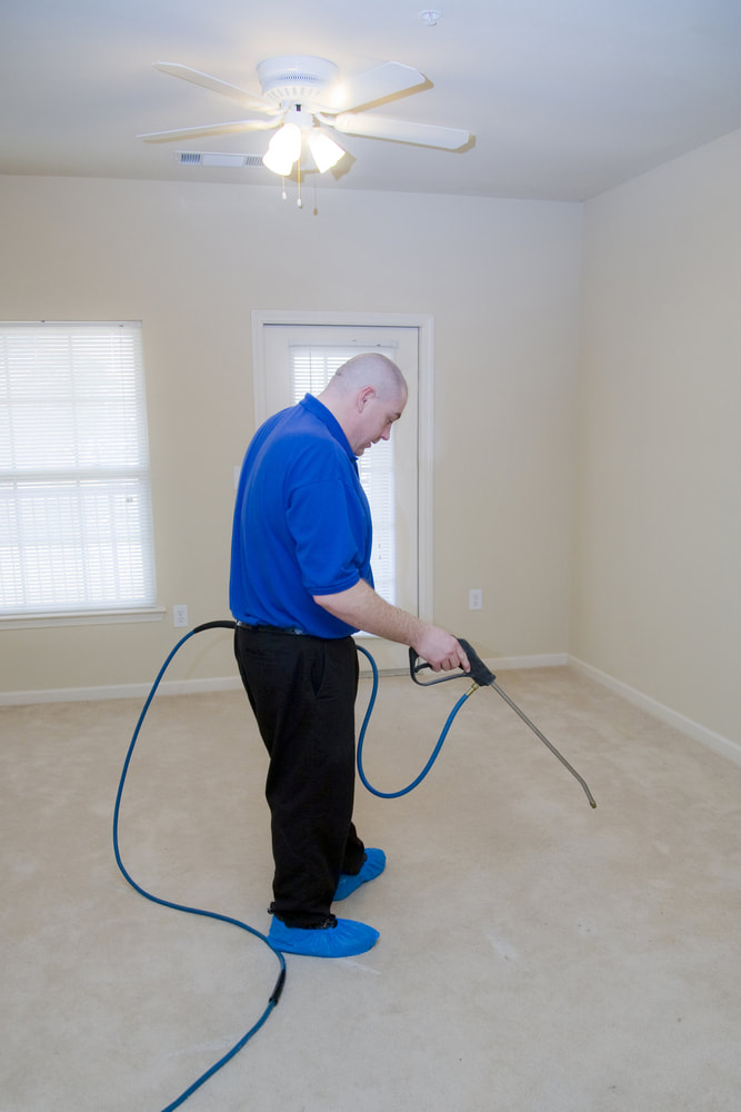 carpet cleaning north bay