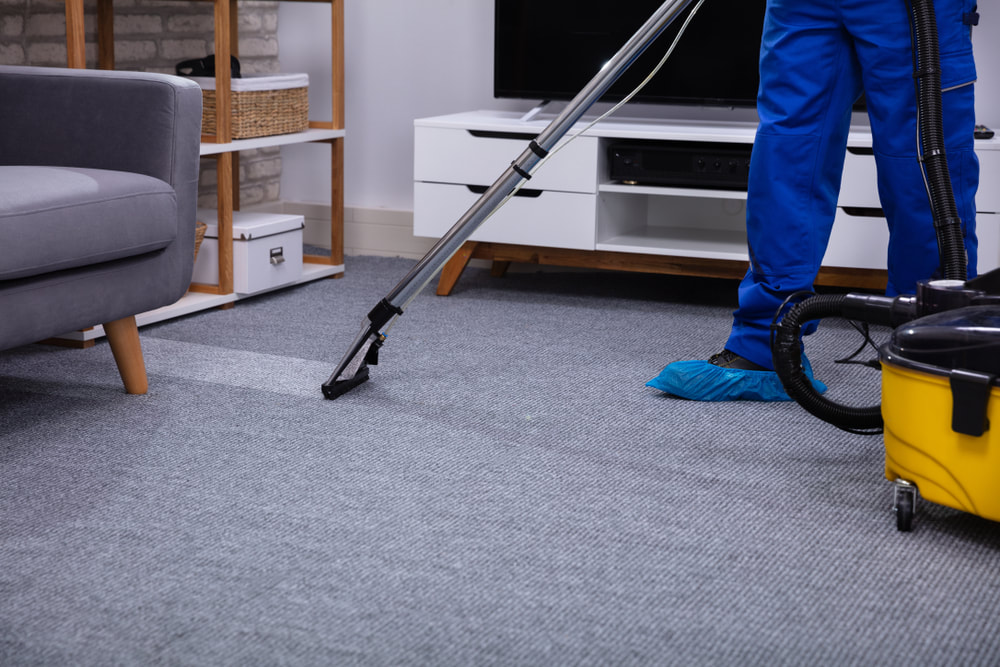 carpet technician cleaning office carpets