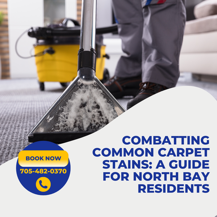 Combatting Common Carpet Stains: A Guide for North Bay Residents □□