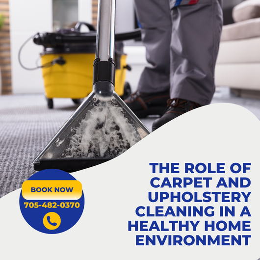 The Role of Carpet and Upholstery Cleaning in a Healthy Home Environment □□