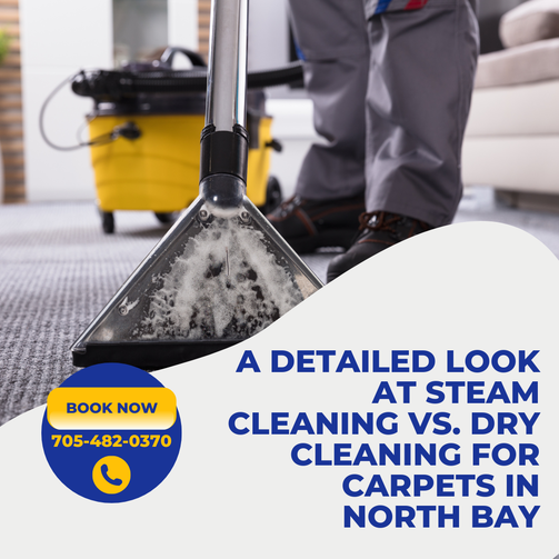 A Detailed Look at Steam Cleaning vs. Dry Cleaning for Carpets in North Bay □□