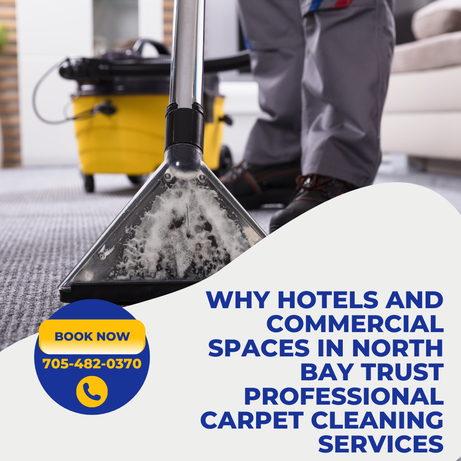 Why Hotels and Commercial Spaces in North Bay Trust Professional Carpet Cleaning Services □□
