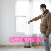 carpet inspection