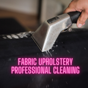 fabric upholstery professional cleaning