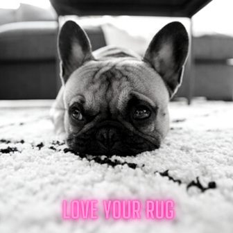 love your rug