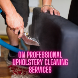 ON professional upholstery cleaning services