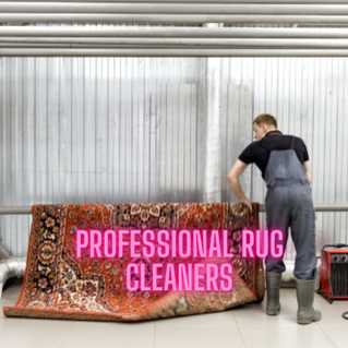 professional rug cleaners