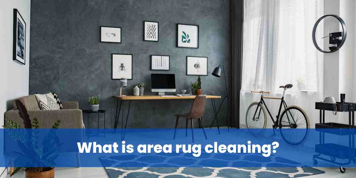 What is area rug cleaning?